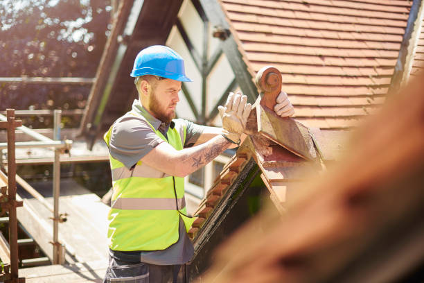 Best Metal Roofing Contractor  in Lebanon Junction, KY